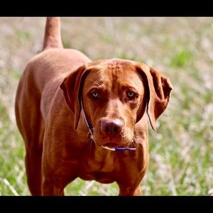 Meet your Posher, Douglas